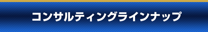 コンサルティングラインナップ
