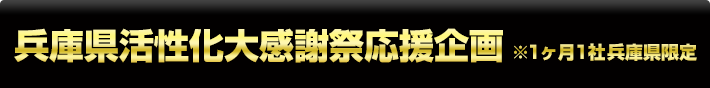 兵庫県活性化大感謝祭応援企画※1ヶ月1社 兵庫県限定